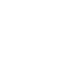 Campaigns Launch Icon